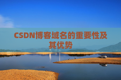 CSDN博客域名的重要性及其优势